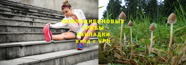 дживик Липки