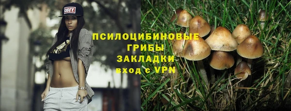 соль курить ск Лиски