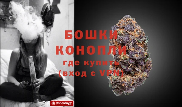 дживик Липки