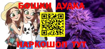 амф Краснодар
