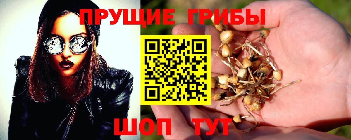 Галлюциногенные грибы Magic Shrooms  Вход с VPN  наркошоп  Чапаевск  Галлюциногенные грибы Magic Shrooms 