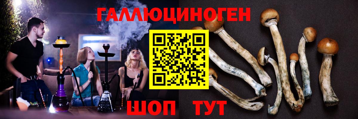 Галлюциногенные грибы Psilocybine cubensis  Чапаевск  Галлюциногенные грибы Cubensis 